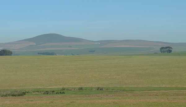   Swartland Wheatfields