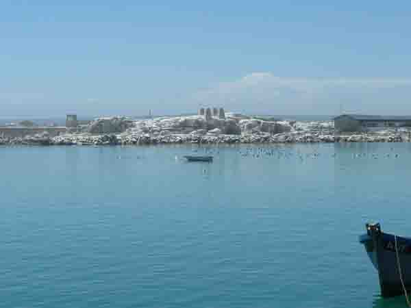  harbour
