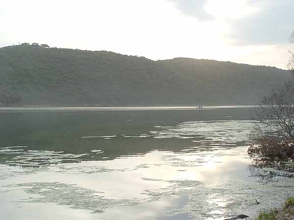  Swartvlei, Sedgefield 