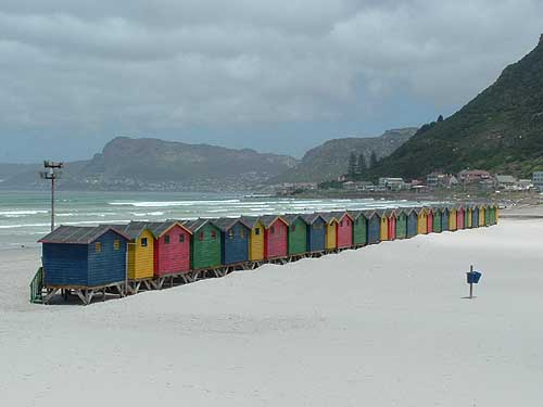  Tours in Cape Town