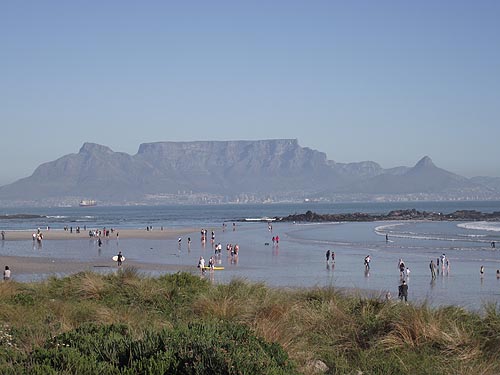  Tours in Cape Town