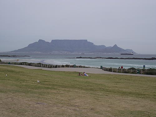  Tours in Cape Town