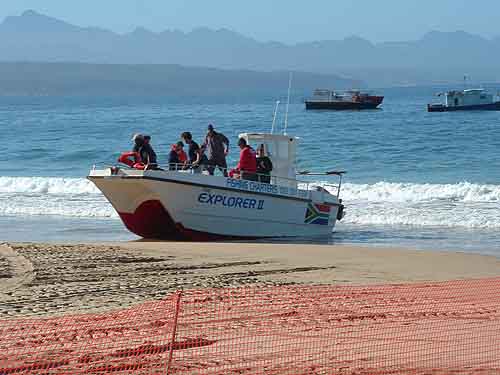 Tours in Cape Town
