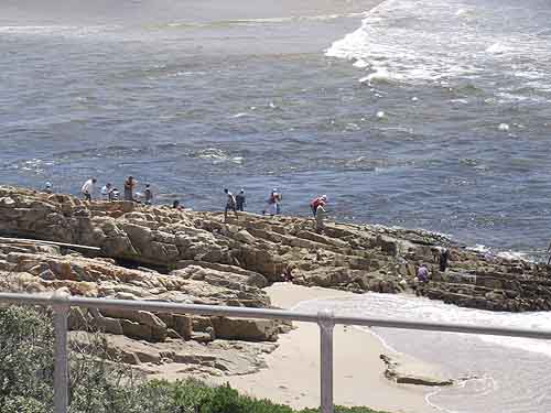  Tours in Cape Town