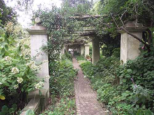  Tours in Cape Town