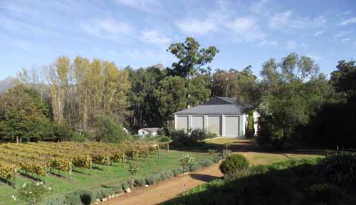  Thelema Wine Cape Town